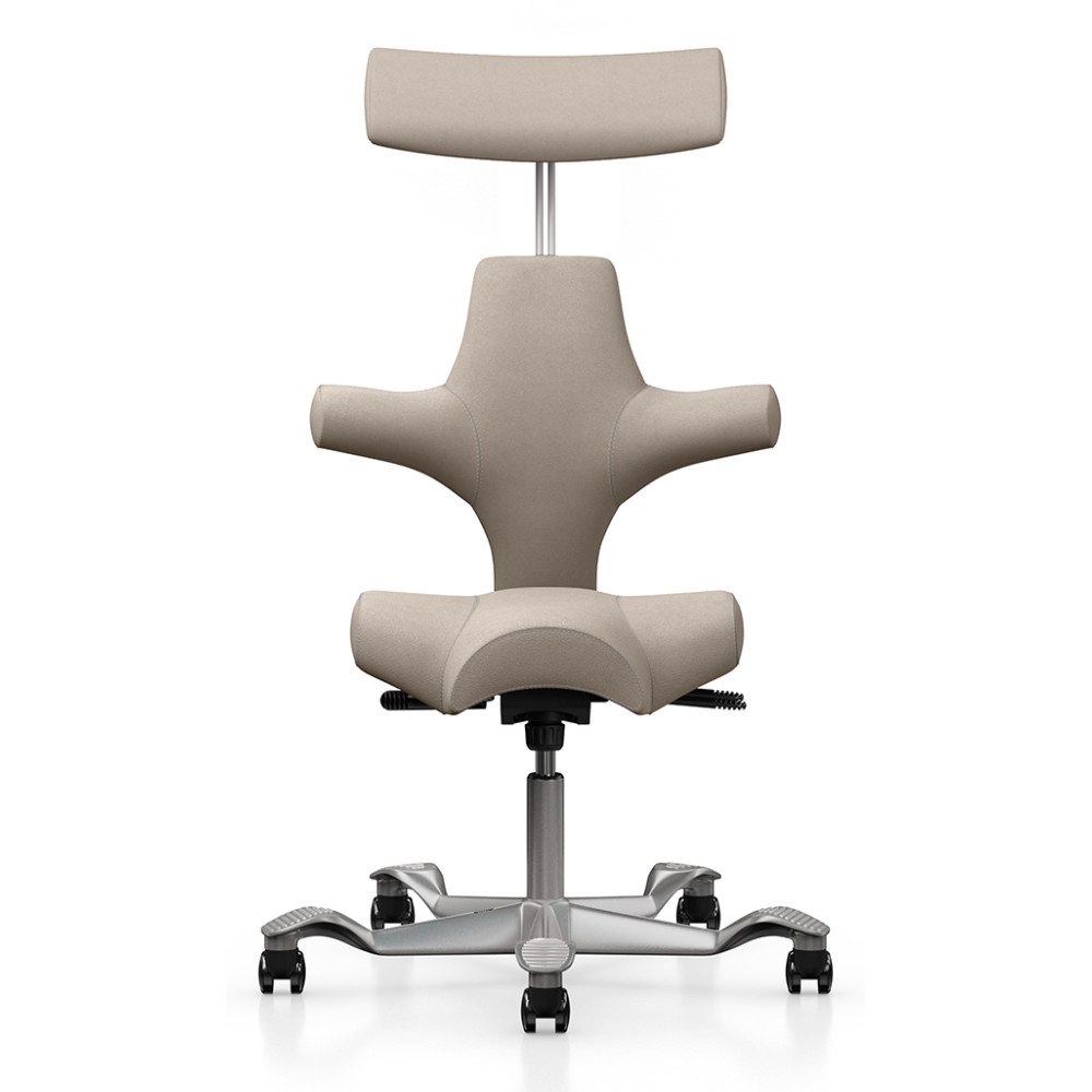 Capisco chair 