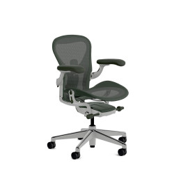 Herman Miller Aeron - Офісне крісло, розмір A, зелене сидіння та спинка, основа з полірованого алюмінію з поліамідними колесами | Робочі станції