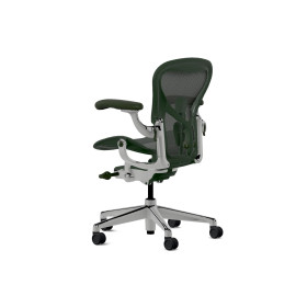 Herman Miller Aeron - Офісне крісло, розмір A, зелене сидіння та спинка, основа з полірованого алюмінію з поліамідними колесами | Робочі станції